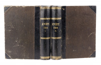 Magazine Květy - bound volume XVI. (book XXXII.) in 2 volumes []