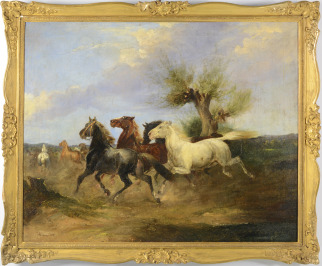 Koně [Albrecht Adam (1786-1862)]