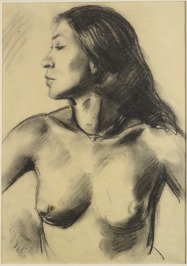 Nude [Pierre Bonnard (1867-1947)]