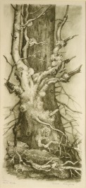 Old tree [Marie Lacigová (1928)]