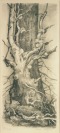 Starý strom [Marie Lacigová (1928)]