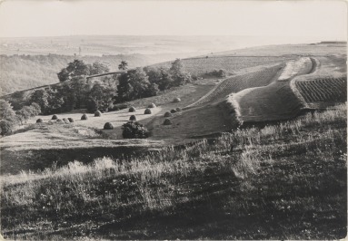 Landscape near St. Prokop near Prague (Teraces) [Eugen Wiškovský (1888-1964)]