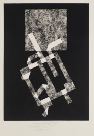 Form - Aktion (Fotogramm) [Jan Kubíček (1927-2013)]