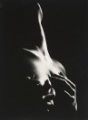 Akt z cyklu "15 Fotos für Henri Miller" [Miloslav Stibor (1927-2011)]