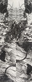 Konec lužních lesů [Miloš Spurný (1922-1979)]