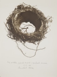 Nest (P. F. 88) [Michal Kern (1938-1994)]