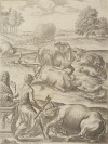Cattle plague / Rinderpest [Václav Hollar (1607-1677)]