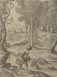 Hiving bees [Václav Hollar (1607-1677)]