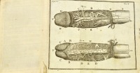 Compendium anatomicum [Lorenz Heister (1683-1758) Gabriel Friedrich Clauder X (1689)]