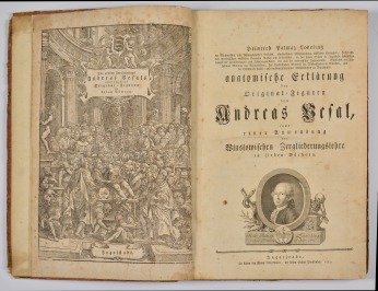 Anatomische Erklärung [Andreas Vesalius (1514-1564), Heinrich Palmaz Leveling (1742-1798)]