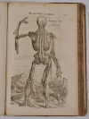 Anatomische Erklärung [Andreas Vesalius (1514-1564) Heinrich Palmaz Leveling (1742-1798)]