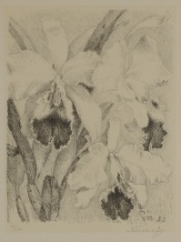 Irises [Max Švabinský (1873-1962)]