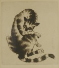 A Cat [Antonín Procházka (1882-1945)]