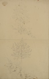 Sewenteen drawings by Max Haushofer, a Study by Antonín Mánes and a Drawing by an Unknown Artist [Joseph Maximilian Haushofer (1811-1866), Antonín Mánes (1784-1843)]