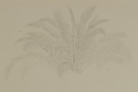 Sedmnáct kreseb Maxe Haushofera, studijní kresba Antonína Mánesa a kresba neznámého autora [Joseph Maximilian Haushofer (1811-1866) Antonín Mánes (1784-1843)]