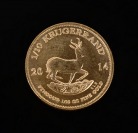 Gold Investment Coin