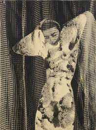 Nude with a Curtain [Karel Teige (1900-1951)]
