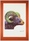 Bighorn Ram [Andy Warhol (1928-1987)]