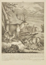 Starker Hirsch mit Kitzen [Martin Elias Ridinger (1730-1781)]