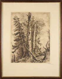 Forest Breaks [Karel Vik (1883-1964)]