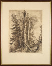 Lesní polomy [Karel Vik (1883-1964)]
