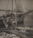 A Sailing Boat [Rudolf Paďouk (1876-1957)]