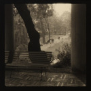 From the cycle Notes [Josef Sudek (1896-1976)]