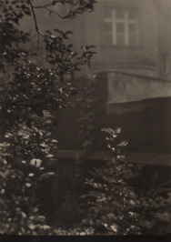 Garten von Frau Bildhauerin [Josef Sudek (1896-1976)]