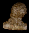 Head of a Young Man []