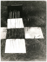 Spiegelung im Gras III. [Alexandr Skalický (1932)]