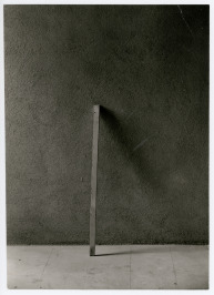 Raum für rosa Bild [Jan Svoboda (1934-1990)]