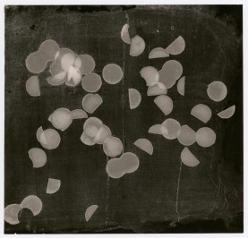 Kancelářské konfety [Běla Kolářová (1923-2010)]
