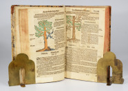 Kreuterbuch - Herbarium [Adam Lonicer (1528-1586)]