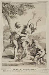 Daphne in Laurum mutata [Carlo Cignani (1628-1719), Jean-Michel Liotard (1702-1796)]