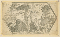 CREAVIT OMNEM ANIMAM VIVENTEM SECUNDU SPECIEM SUAM (Stvoření zvířat) [Orazio Borgianni (1574-1616) Raffael Santi (1483-1520)]