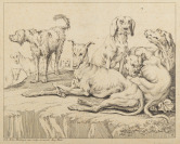 Osm psů a Pastorální motiv [Johann Elias Ridinger (1698-1767) Johann Georg Hertel (1700-1775)]