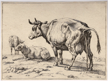 Four Zoological Illustrations [Unknown author, Paulus Potter (1625-1654)]