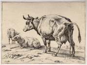 4 zoologické ilustrace [Neznámý autor Paulus Potter (1625-1654)]