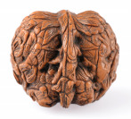 Haptický ořech []