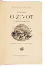 Eight Adventure Novels [Jules Verne (1828-1905), Josef Richard Vilímek (1860-1938)]