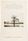 Flora Photographica I und II [Karel Domin (1882-1953)]
