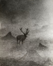 Deer [Sláva Štochl (1913-1990)]
