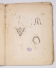 Planches pour les oeuvres de Vicq-D`Azyr [Louis-Jacques Moreau de la Sarthe (1771-1826) Verschiedene Künstler]