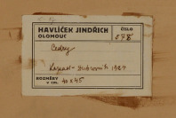 Cedry (Lepad - Dubrovník) [Jindřich Havlíček (1882-1947)]