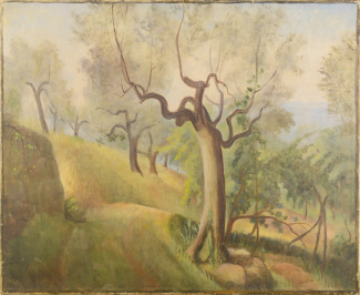 Olive Trees in Provence [Otakar Kubín (1883-1969)]