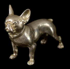 Silberminiatur - Französische Bulldogge