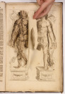 Nosce te ipsum, vel anatomicum vivum [Christoph von Helwig (1663-1721)]