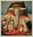 A Collection of Collages [Jiří Donné Smýkal (1950-2022)]