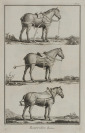 Pferdegeschirre und Sattel [Denis Diderot (1713-1784)]