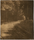 Lesní cesta [Rudolf Paďouk (1876-1957)]